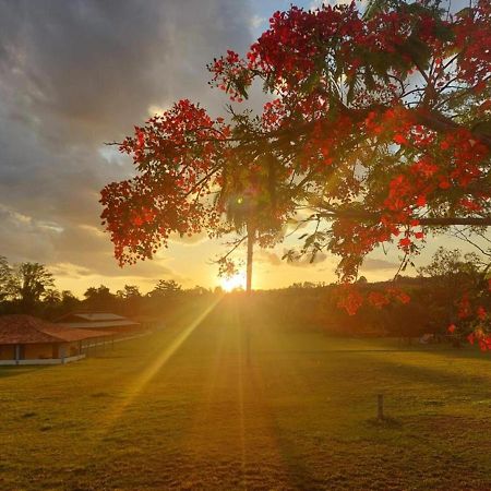 Sertao Veredas Hotel Fazenda Paraopeba 外观 照片