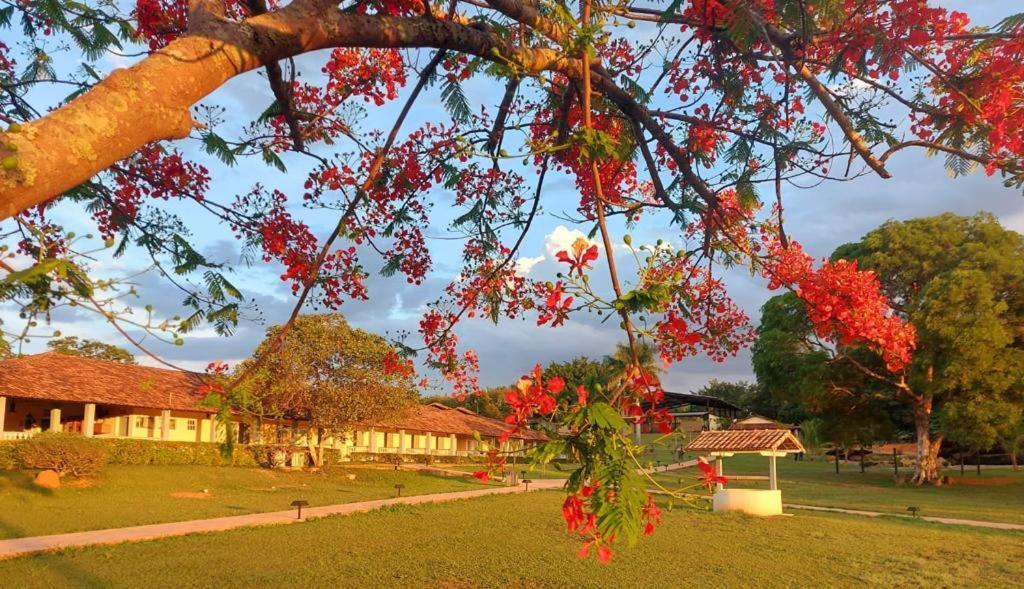 Sertao Veredas Hotel Fazenda Paraopeba 外观 照片
